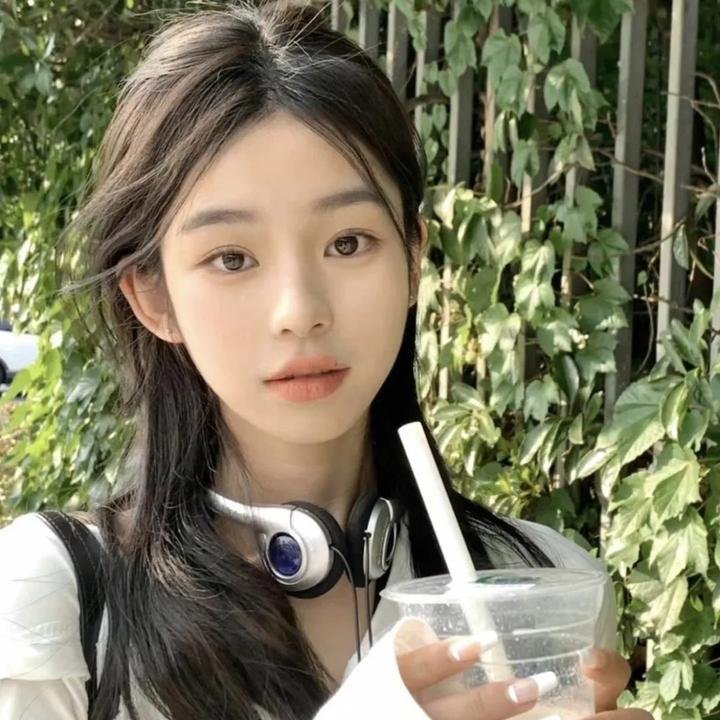 哈利波特:凤凰会的密令